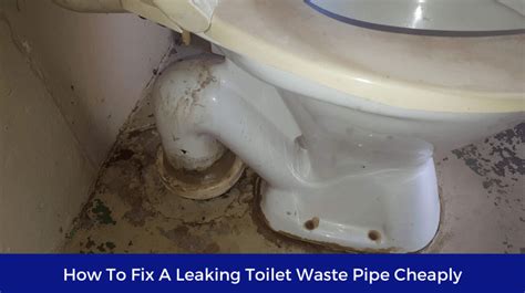 Toilet waste leaking